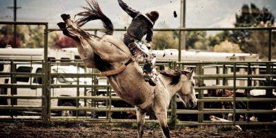 rodeo films