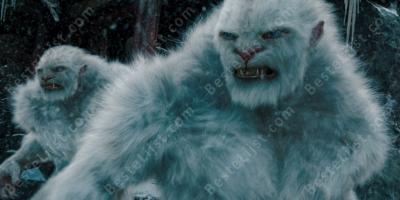 yeti films