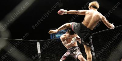 Ultimate Fighting Championship films