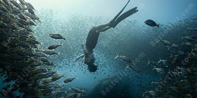 gratis duiken films