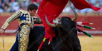 matador films