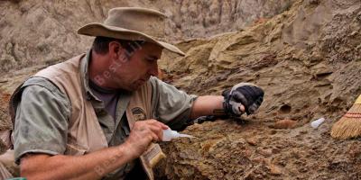 paleontoloog films