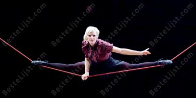 circusartiest films