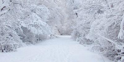 sneeuw films