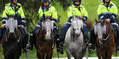 politie te paard films