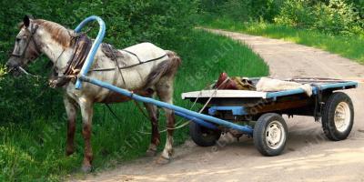 paard en wagen films