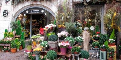 bloemenwinkel films