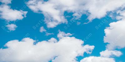 wolk films
