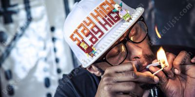 stoners films