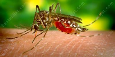 malaria films