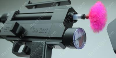dart pistool films