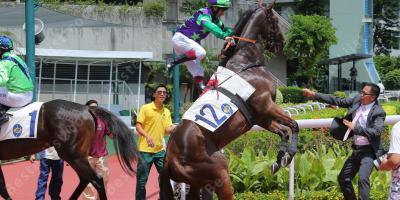 van een paard gegooid films