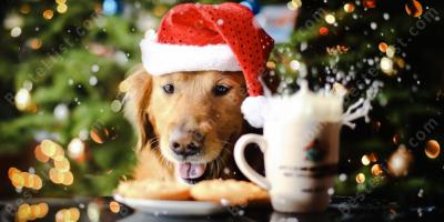 kerstgeest films