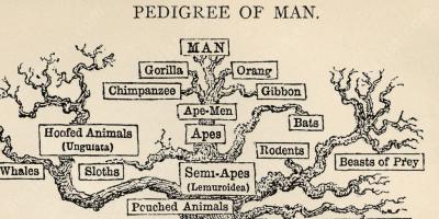 genealogie films