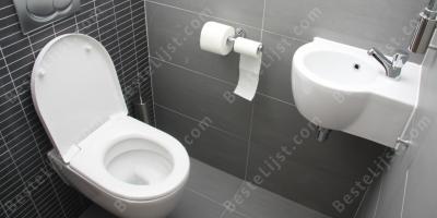 toilet films