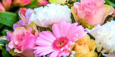 bloemen films