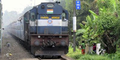 trein films