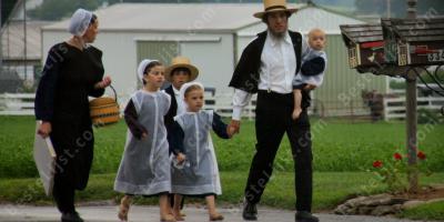 amish films