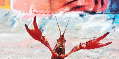 passief agressief gedrag films