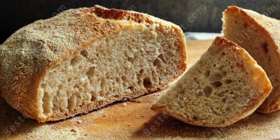 brood films