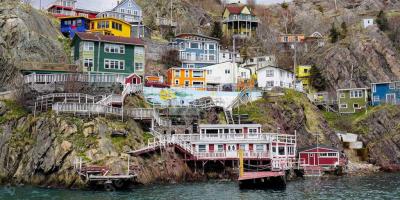 Newfoundland films