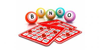 bingo films
