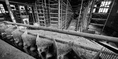 verlaten fabriek films