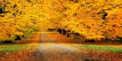 herfst films