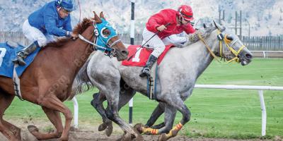 twee op een paard films