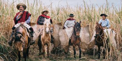gaucho films