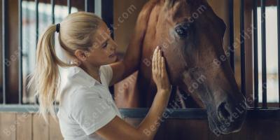 vrouw paard relatie films