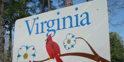 Virginia films