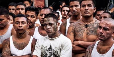 Mexicaanse kartel films