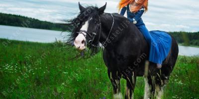 bareback rijden films