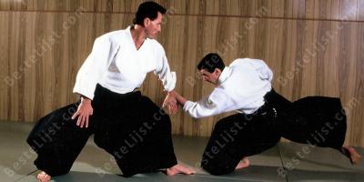 aikido films