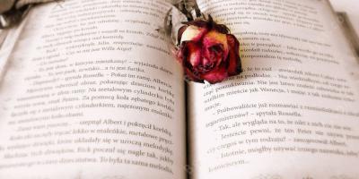 novelle films