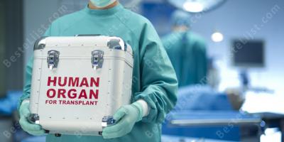 orgaan transplantatie films
