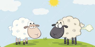 scheten laten films