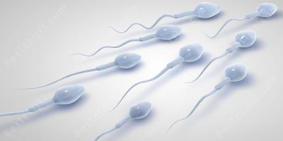 spermadonor films