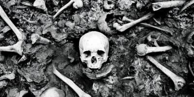genocide films