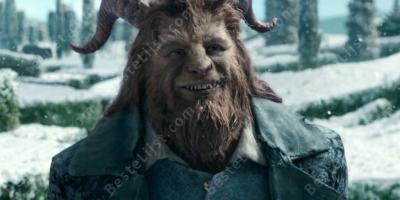 beest films