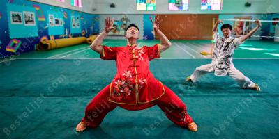 dronken stijl kungfu films