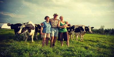 familie boerderij films