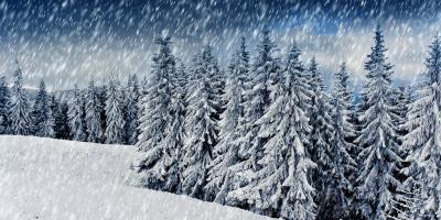 sneeuwen films