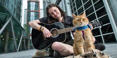 zwerf kat films