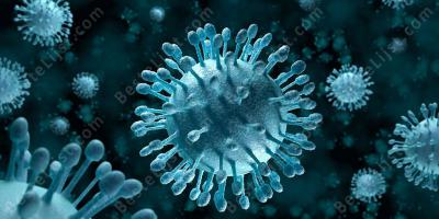 virus films