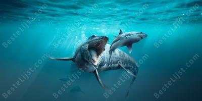 watermonster films