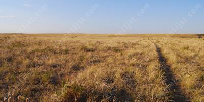 prairie films