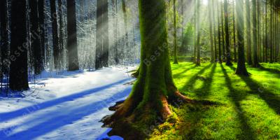 klimaatverandering films