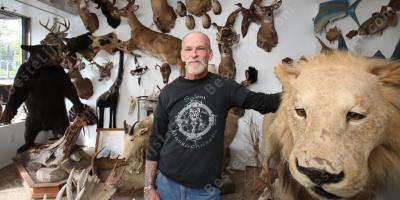 taxidermist films